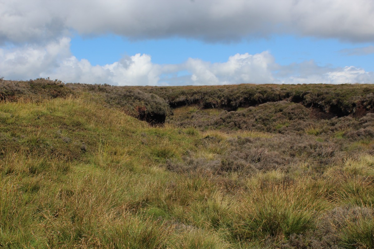 Open moorland fells in the Forest of Bowland